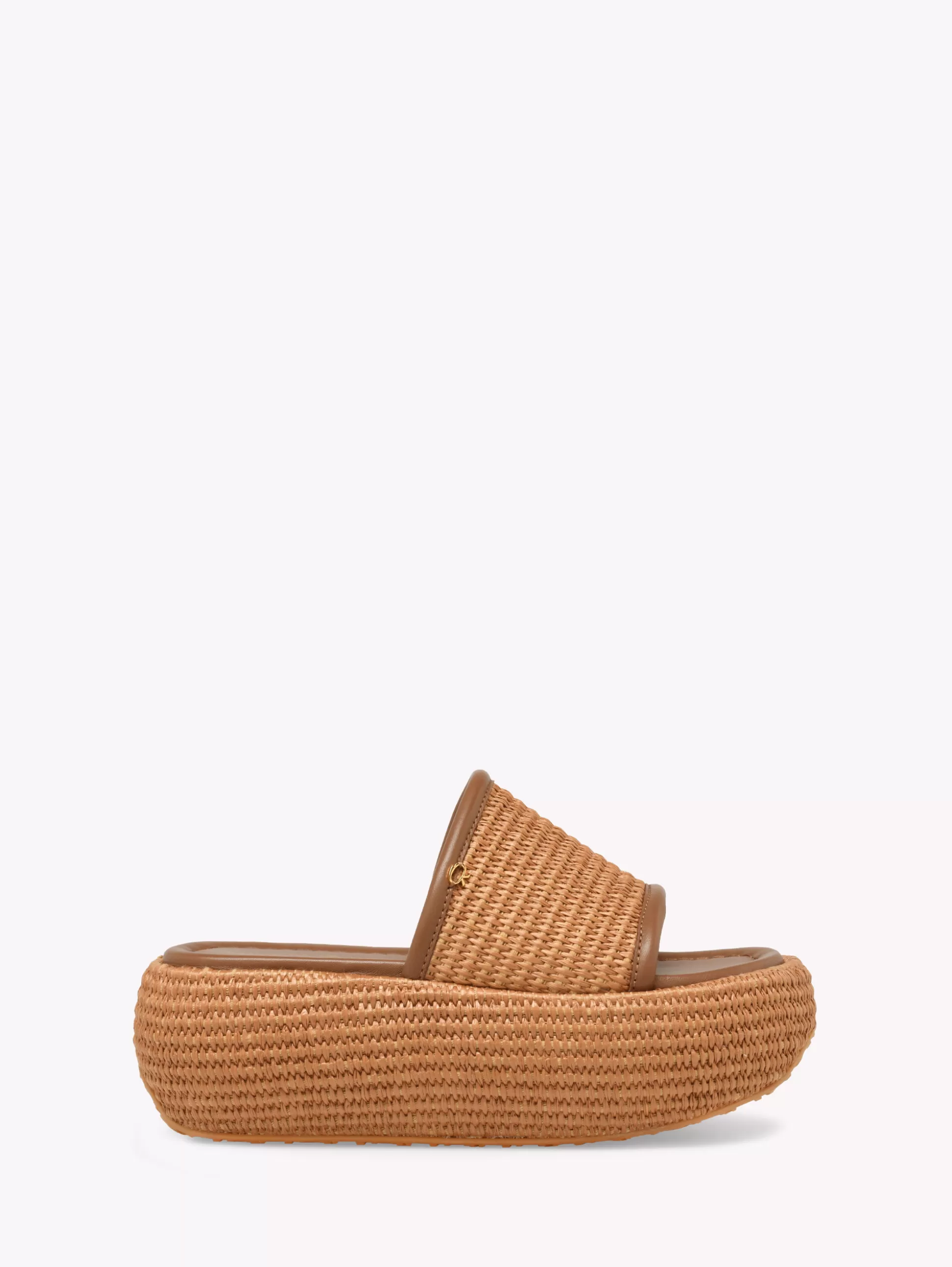 Gianvito Rossi Mules-AMAMI BROWN