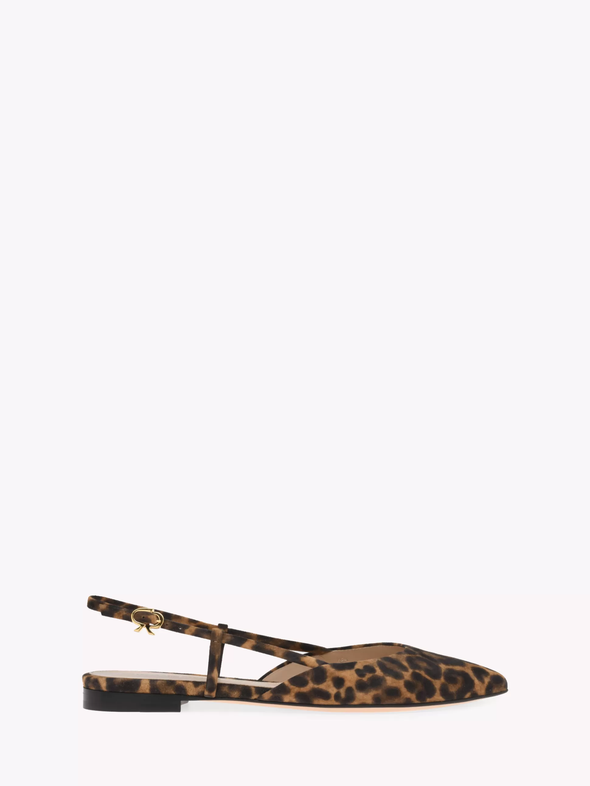 Gianvito Rossi Flats-ASCENT 05 LEOPARD PRINT