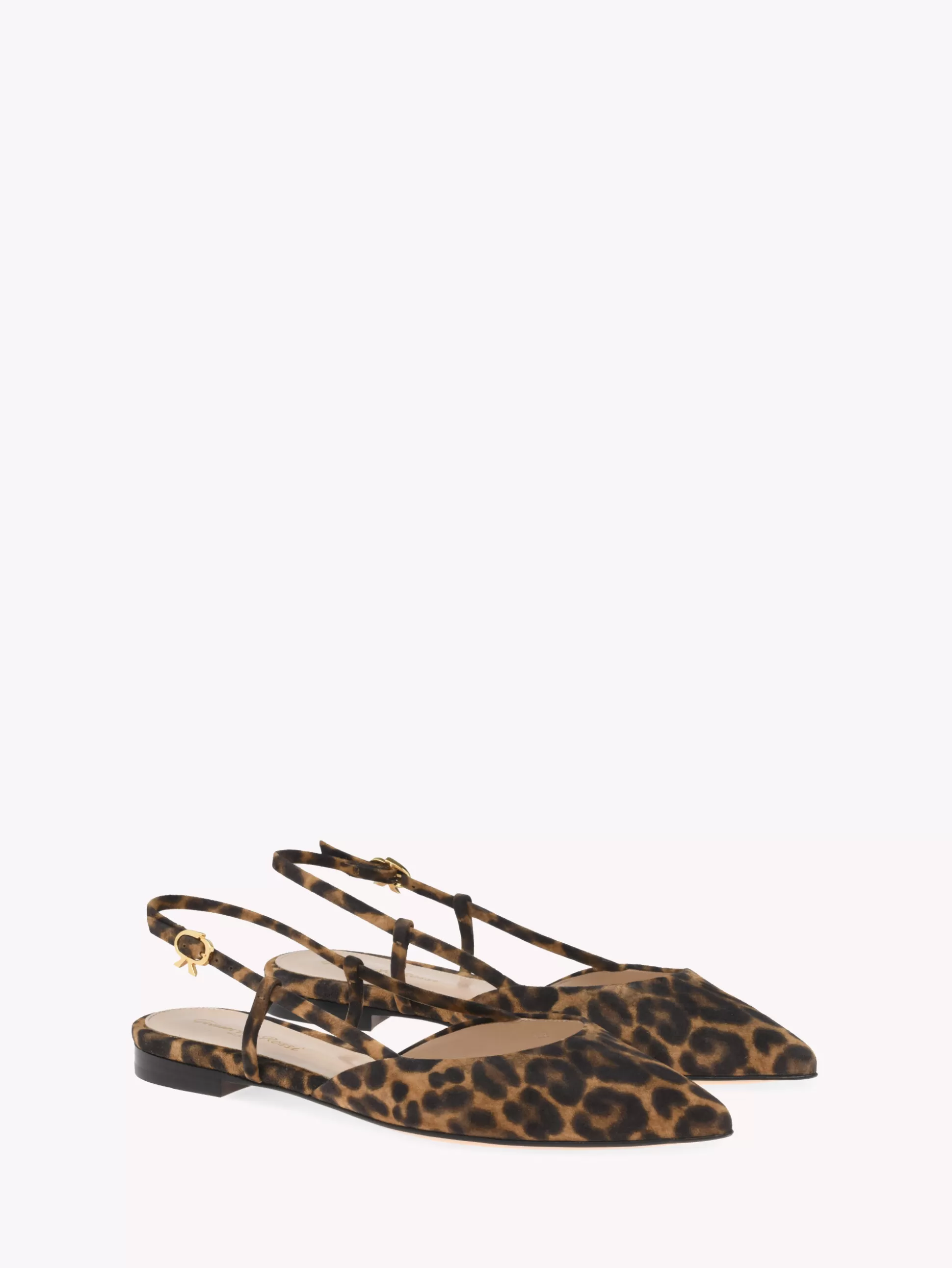 Gianvito Rossi Flats-ASCENT 05 LEOPARD PRINT