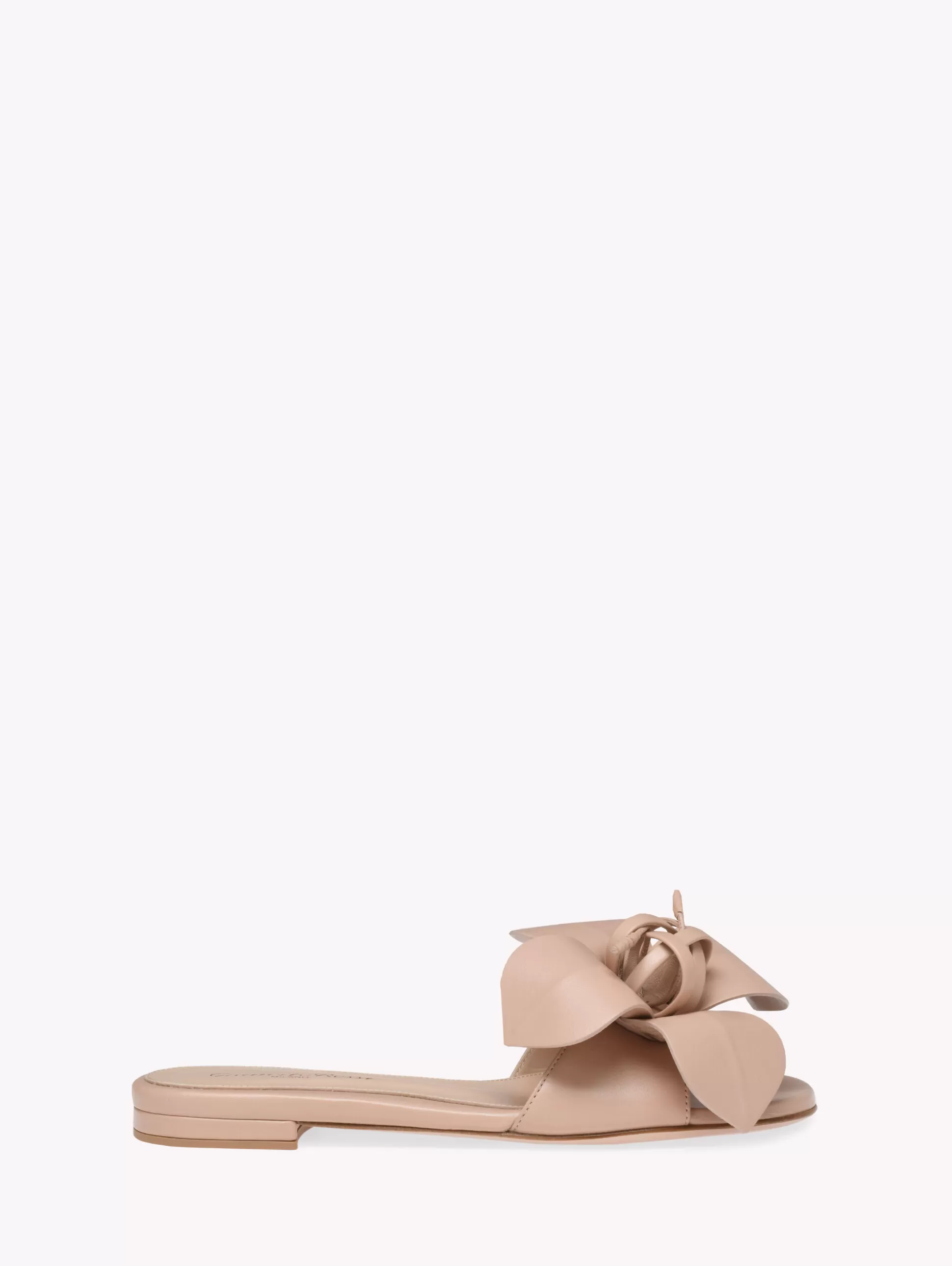 Gianvito Rossi Flats-LUCILLA 05 PINK