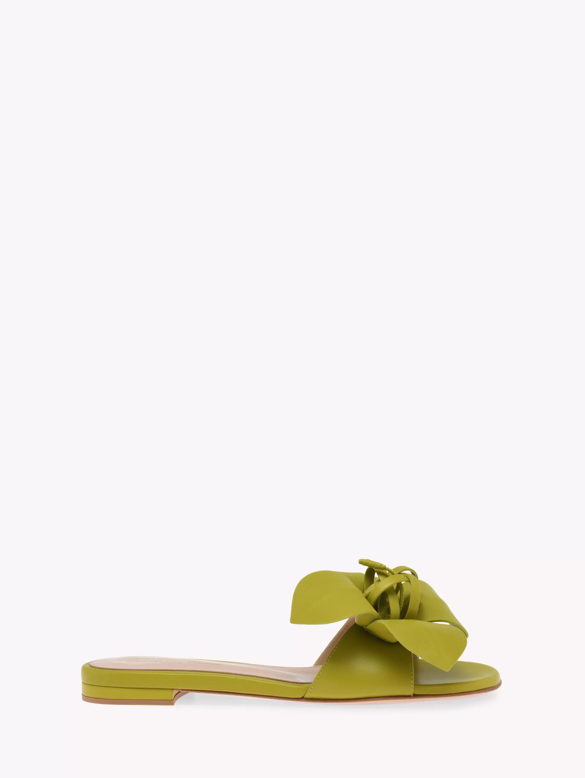 Gianvito Rossi Flats-LUCILLA 05 GREEN